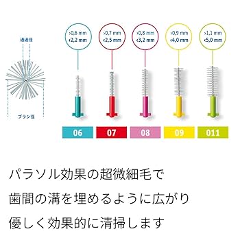 Amazon | クラプロックス 歯間ブラシ CPS 06 （ブルー